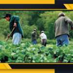 Canada farm worker jobs