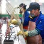 Dubai factory worker jobs