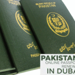 Passport online renewal for Pakistani in Dubai