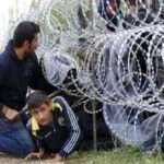 EU Asylum Agency Records the Second Highest Asylum Seeking Rates in Five Years