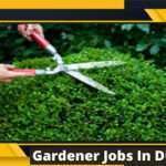 64 Arab Emirates Gardener jobs