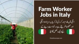 Farm Worker Jobs in Italy: A Complete Guide to Visas, Pay, and Applying Safely