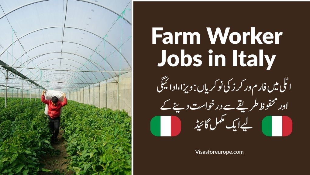 Farm Worker Jobs in Italy: A Complete Guide to Visas, Pay, and Applying Safely